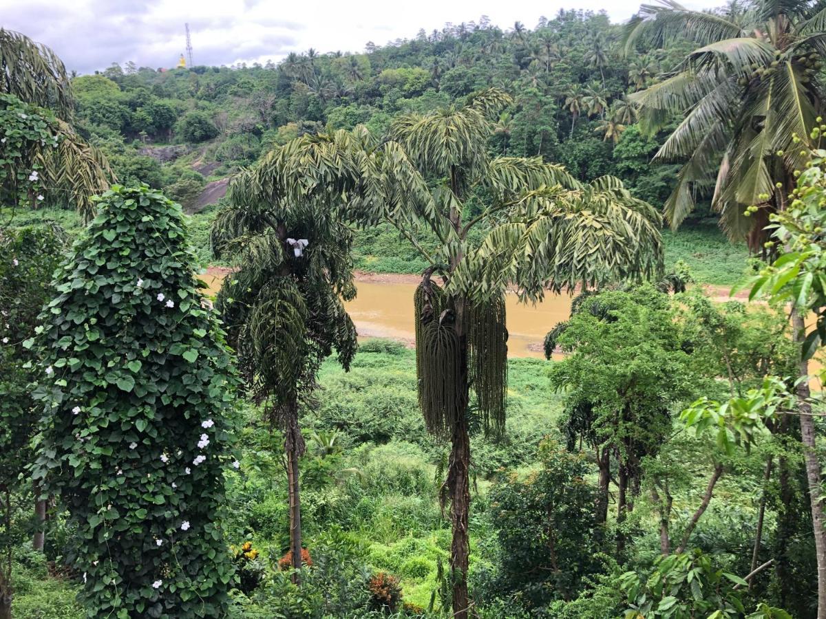 Kandy Rivers Edge Nature Resort Екстер'єр фото
