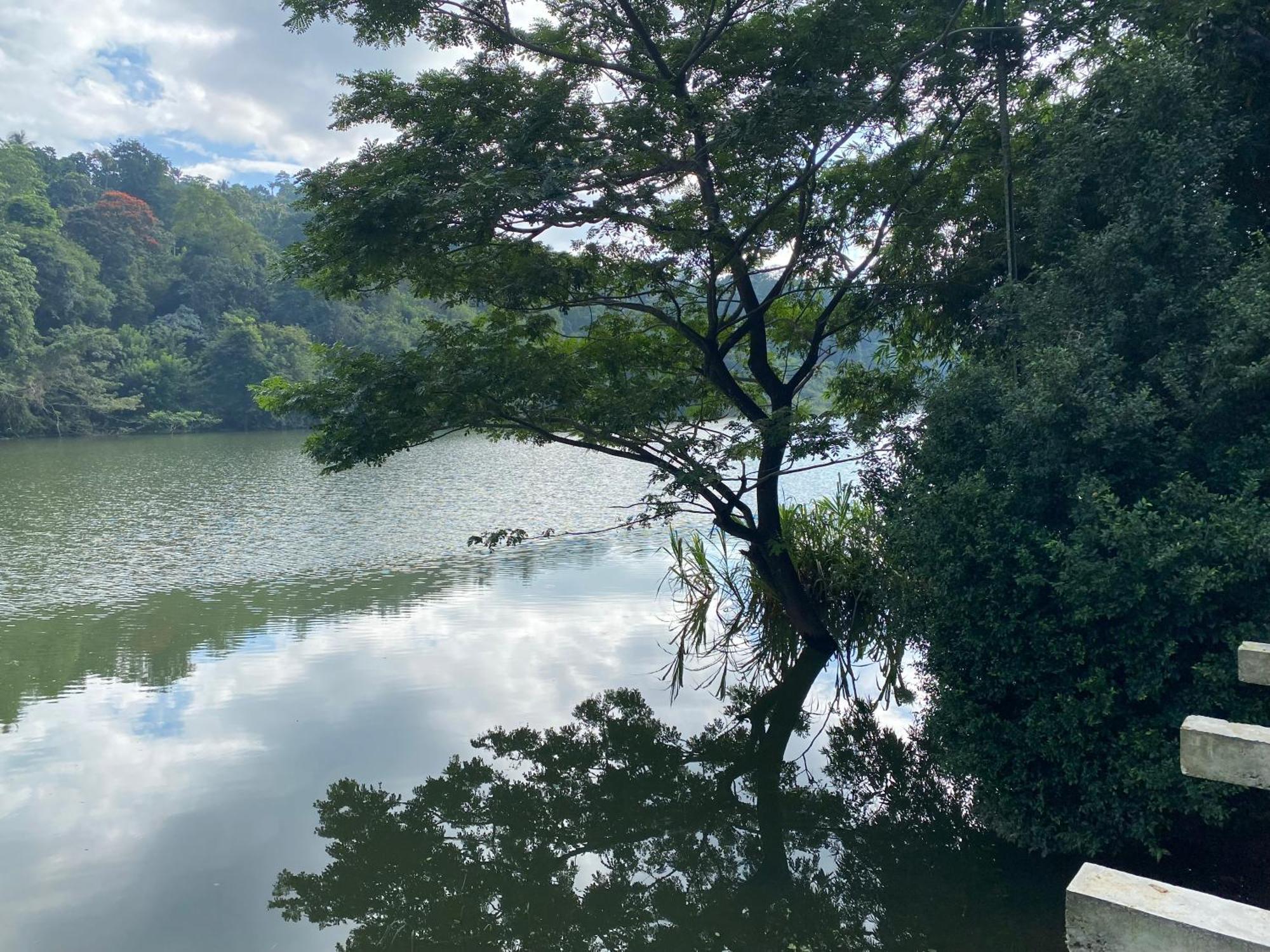 Kandy Rivers Edge Nature Resort Екстер'єр фото