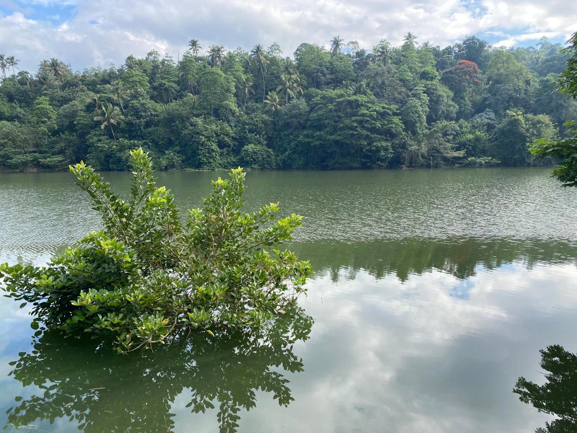 Kandy Rivers Edge Nature Resort Екстер'єр фото